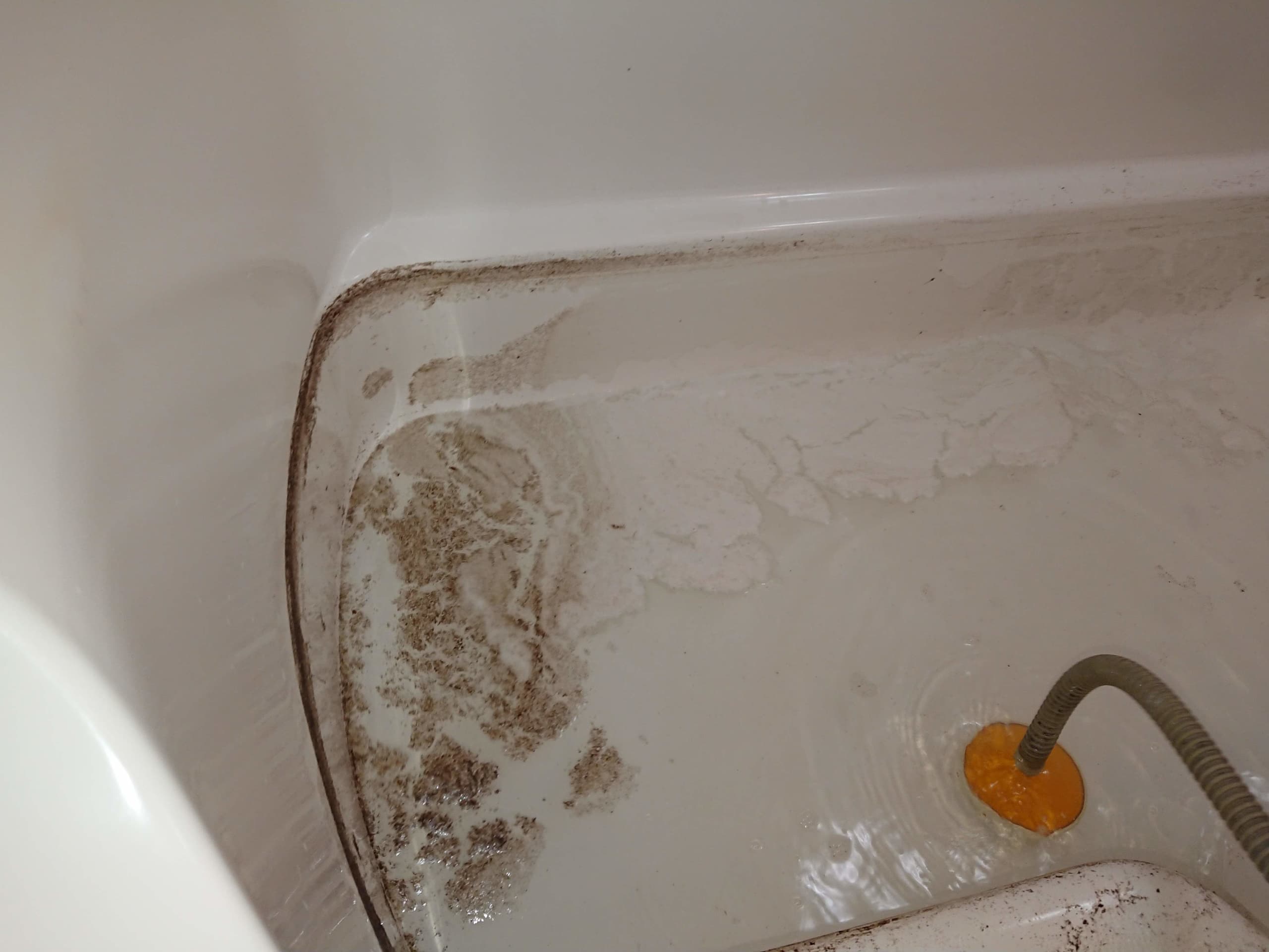dsc_2315.jpg
